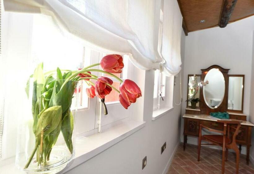 חדר סטנדרט, Can Carol