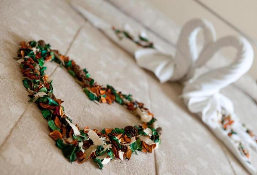 اتاق سوپریور, Badajoz Center