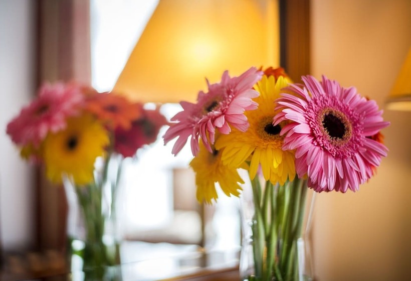 اتاق سوپریور, Boutique Hotel Seven Days