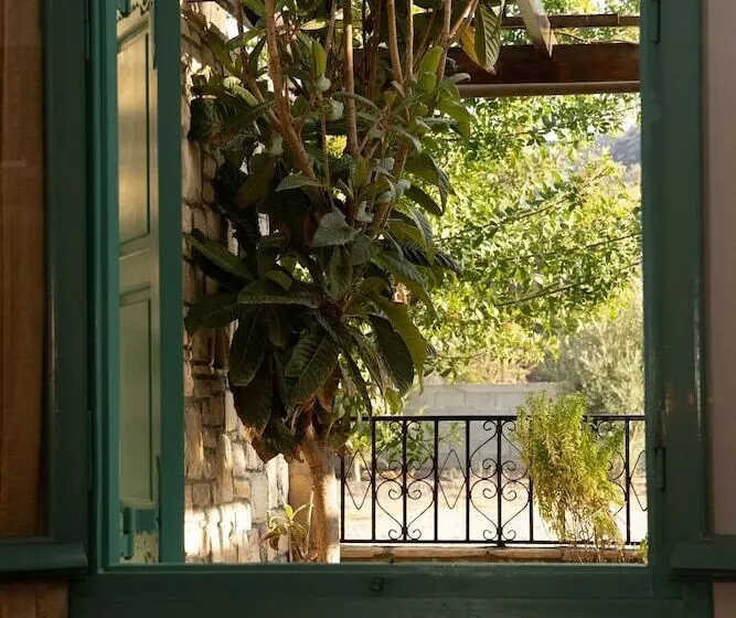 Chambre Standard Individuelle, Dimitris Villa