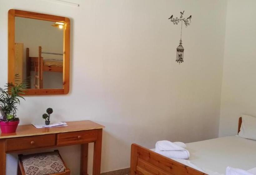 Standard 4 Pers. Værelse, Dimitris Villa