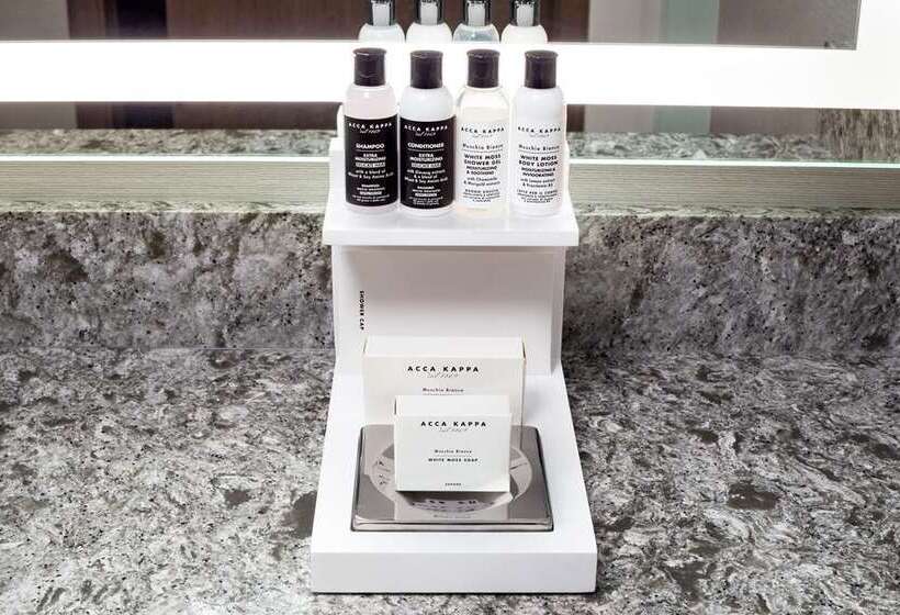 주니어 스위트 킹사이즈 침대, Hilton Colon Guayaquil