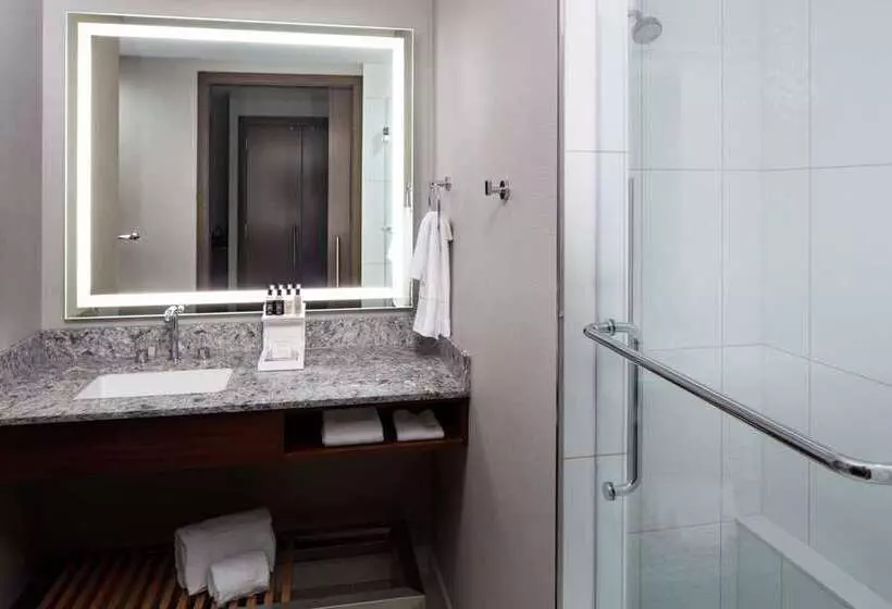 سوئیت جونیور با تخت بزرگ, Hilton Colon Guayaquil