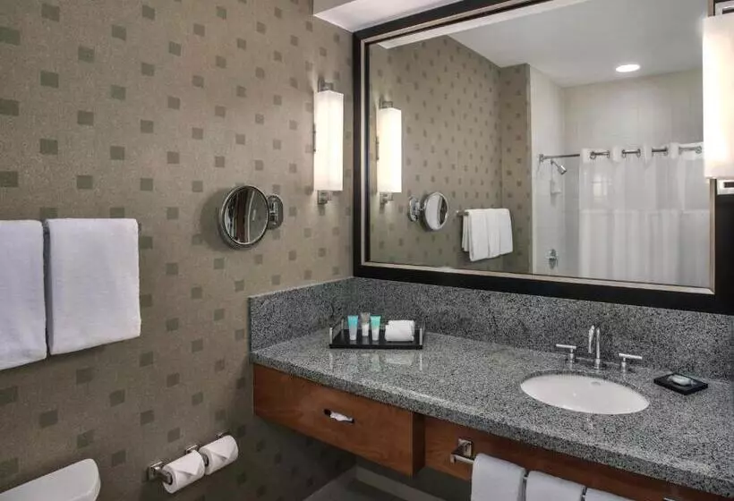 اتاق استاندارد با تخت بزرگ, Hyatt Regency Pittsburgh International Airport