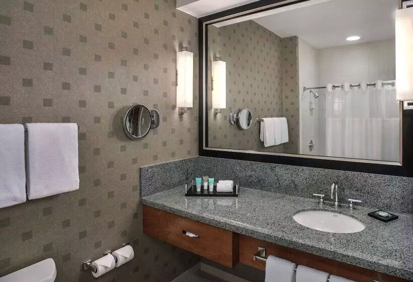 سوییت جونیور, Hyatt Regency Pittsburgh International Airport