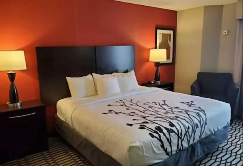 スイート, Bwi Suites