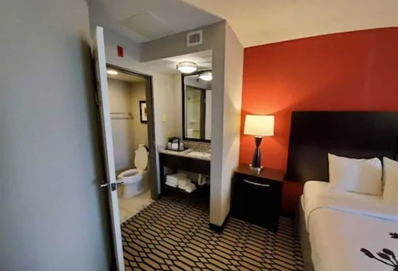 スイート, Bwi Suites