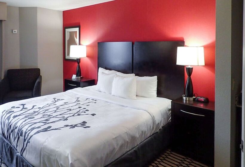 סוויטה, Bwi Suites