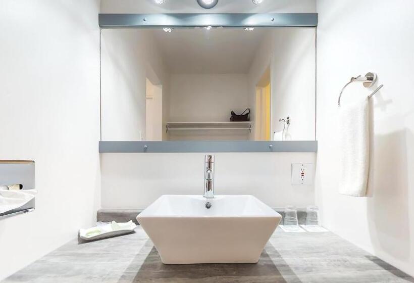 غرفه قياسيه سريرين مزدوجين, Riotel Bonaventure