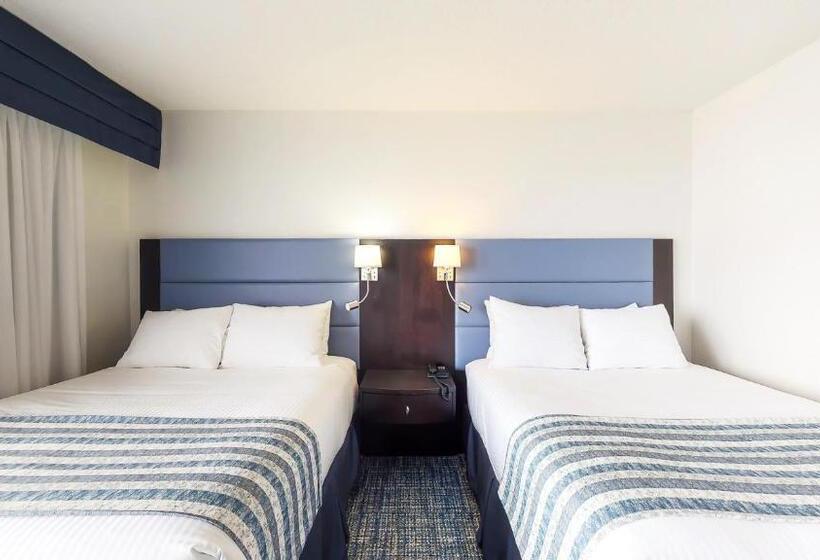 غرفه قياسيه سريرين مزدوجين, Riotel Bonaventure