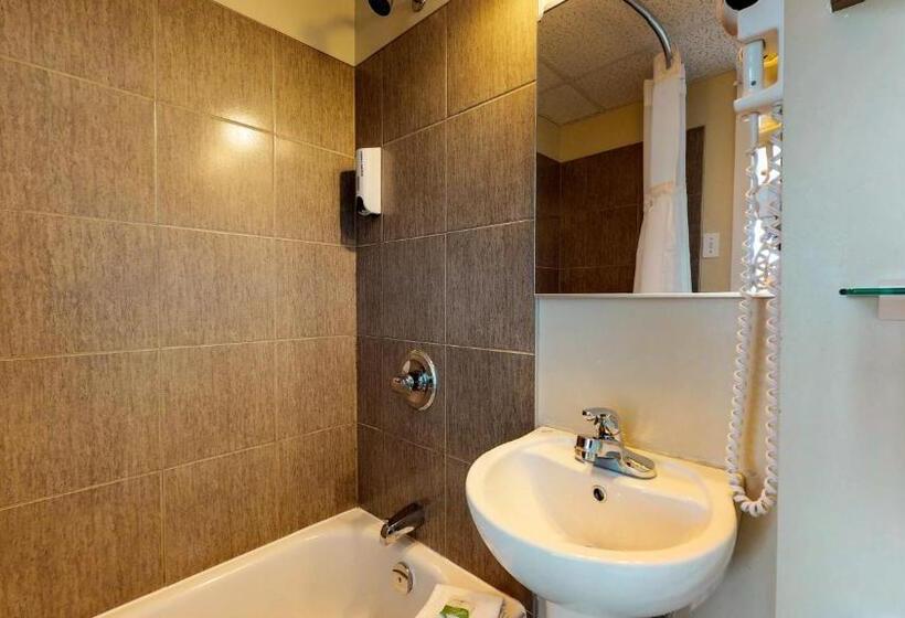 غرفه قياسيه سريرين مزدوجين, Riotel Bonaventure