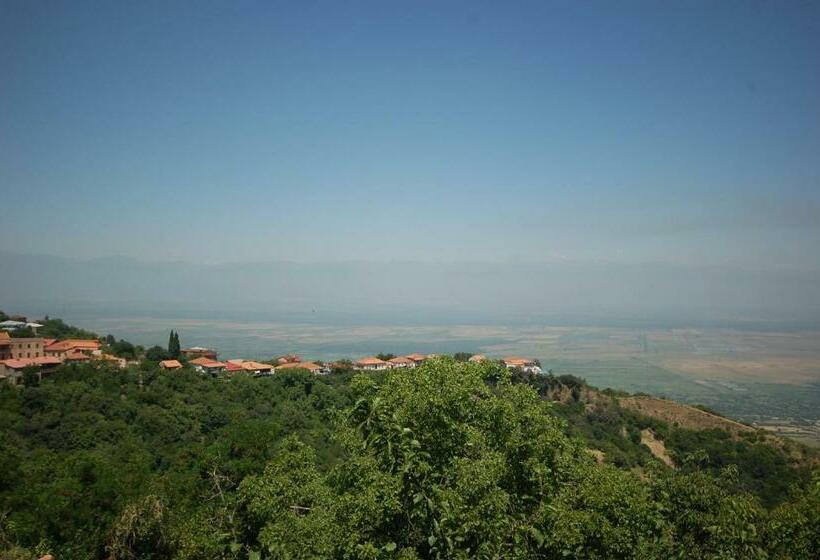 اتاق استاندارد با چشم‌انداز کوهستان, Guest House Aisi