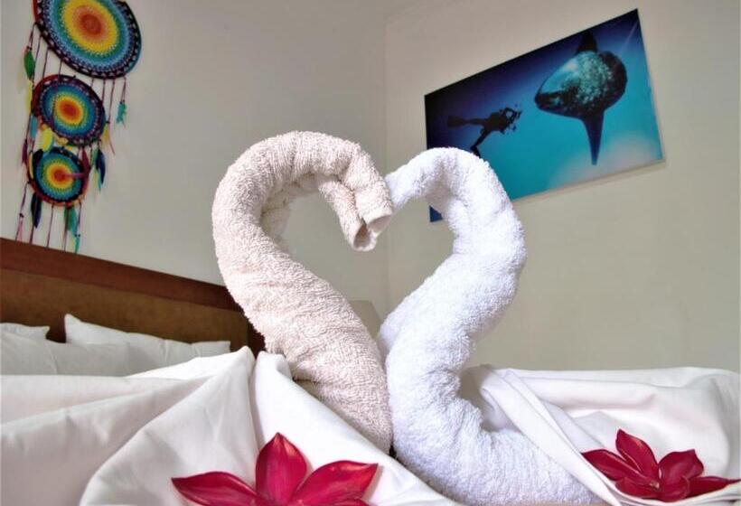 スタンダードバンガロー, La Bila Dive Resort Amed