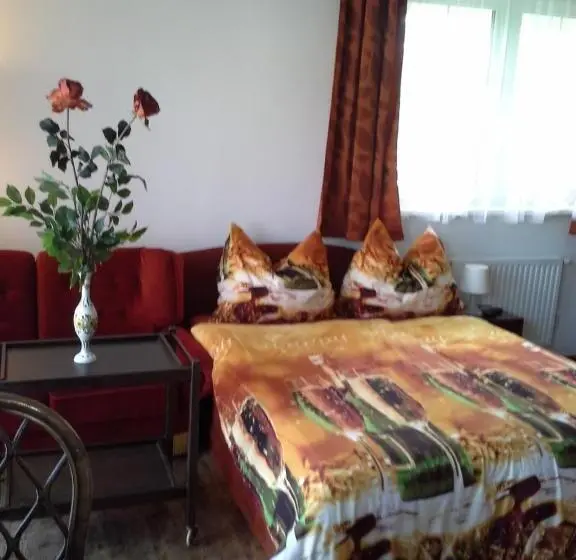 آپارتمان 1 خوابه با چشمانداز باغ, Vila Patricie