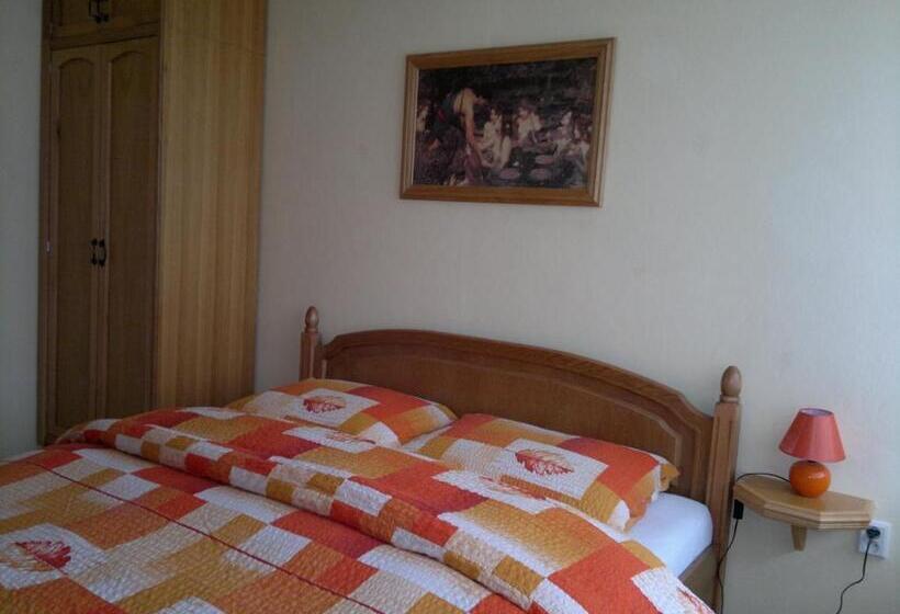 דירת חדר, Vila Patricie