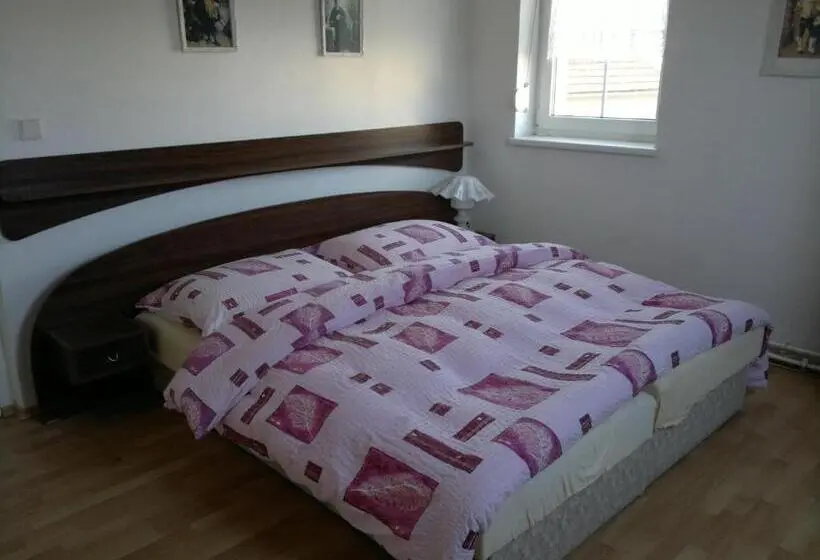 اتاق استاندارد چهار تخته, Vila Patricie