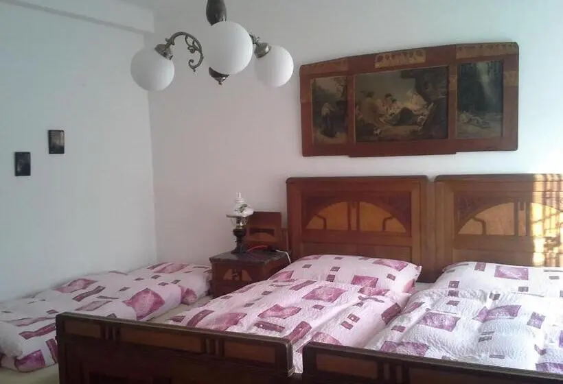 اتاق استاندارد چهار تخته, Vila Patricie