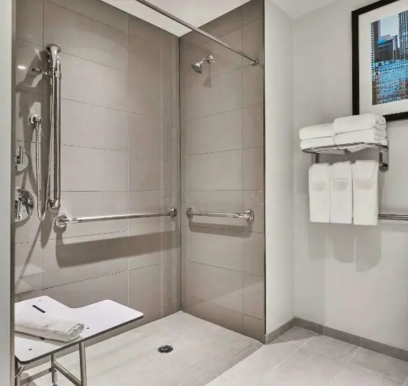 身障者適用キングサイズベッドルーム, Hyatt Place Chicago Medical/university District