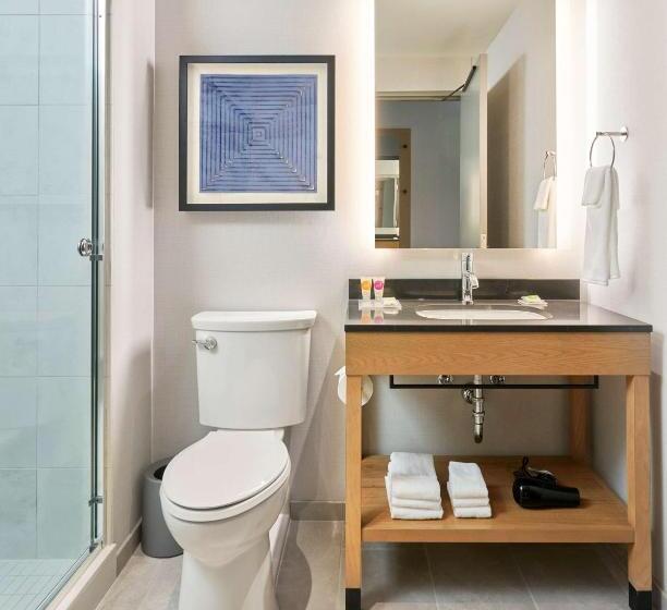 Suite para Deficientes, Hyatt Place Chicago Medical/university District