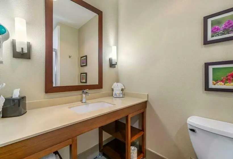 キングサイズベッドのスタンダードルーム, Comfort Inn & Suites Lakewood By Jblm