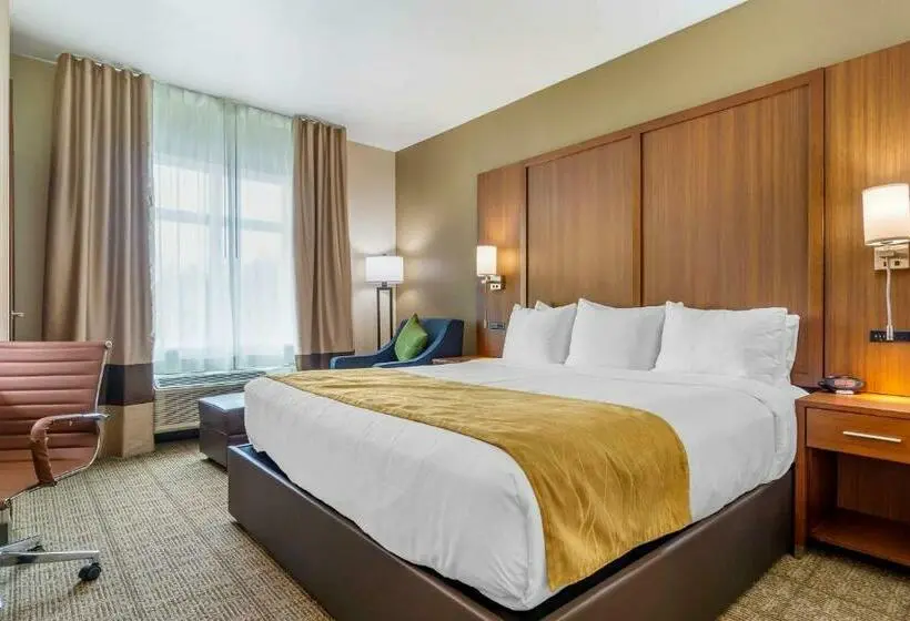 キングサイズベッドのスタンダードルーム, Comfort Inn & Suites Lakewood By Jblm