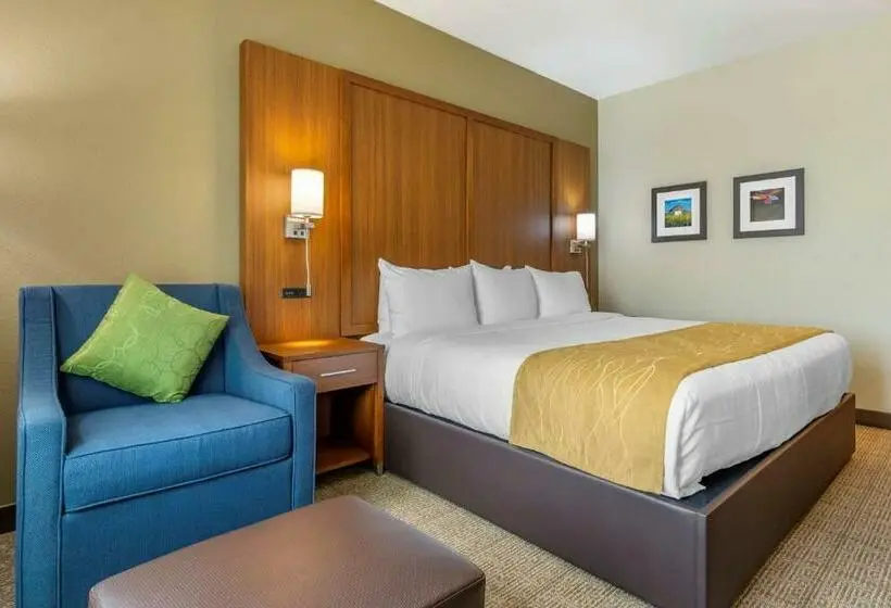 キングサイズベッドのスタンダードルーム, Comfort Inn & Suites Lakewood By Jblm