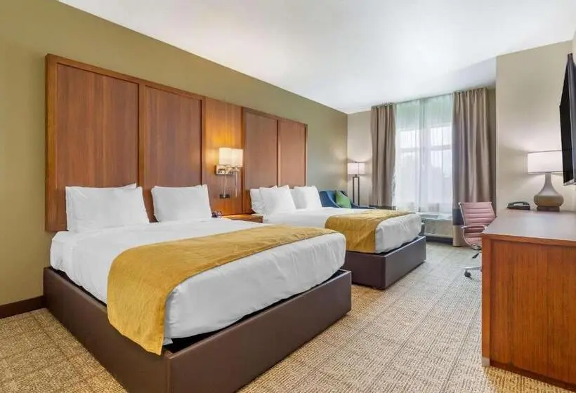 ２ダブルベッドのスタンダードルーム, Comfort Inn & Suites Lakewood By Jblm