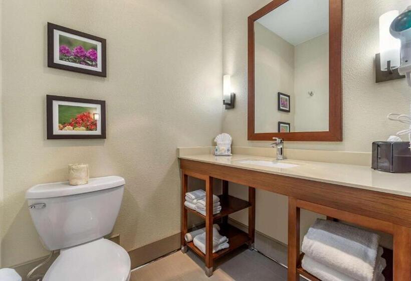 חדר סטנדרט שתי מיטות זוגיות, Comfort Inn & Suites Lakewood By Jblm