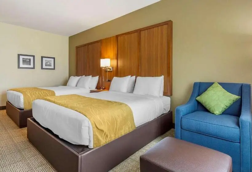 ２ダブルベッドのスタンダードルーム, Comfort Inn & Suites Lakewood By Jblm