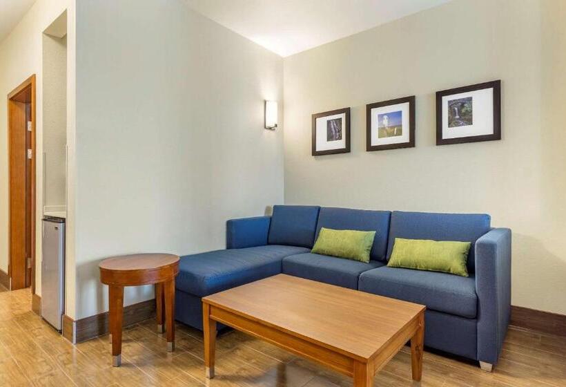 Люкс, Comfort Inn & Suites Lakewood By Jblm
