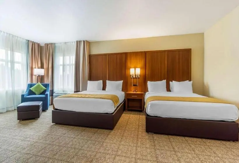 スイート, Comfort Inn & Suites Lakewood By Jblm