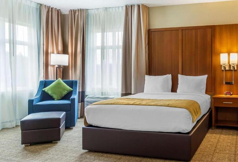 מיטת קינג בסוויטה, Comfort Inn & Suites Lakewood By Jblm