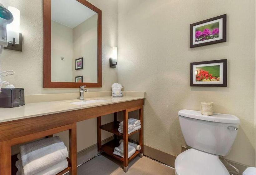 Люкс Кровать Кинг, Comfort Inn & Suites Lakewood By Jblm