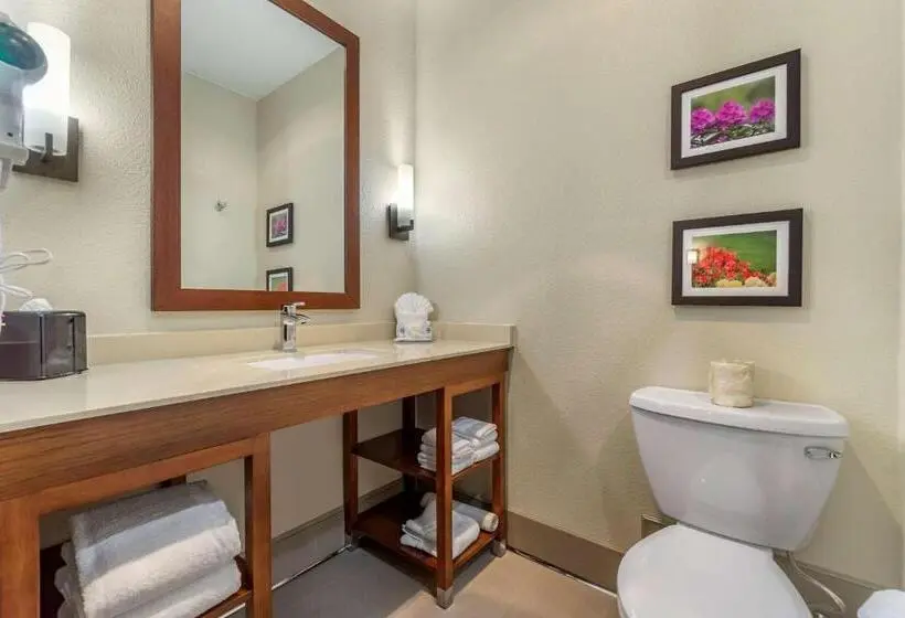 キングサイズベッドのスイートルーム, Comfort Inn & Suites Lakewood By Jblm