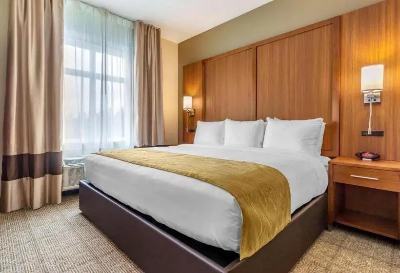 身障者適用スタンダードルーム, Comfort Inn & Suites Lakewood By Jblm