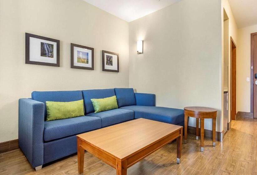 חדר סטנדרט מותאם לאדם עם מוגבלויות, Comfort Inn & Suites Lakewood By Jblm