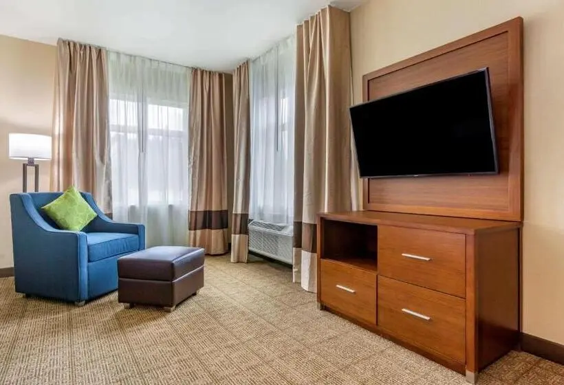 身障者適用キングサイズベッドルーム, Comfort Inn & Suites Lakewood By Jblm