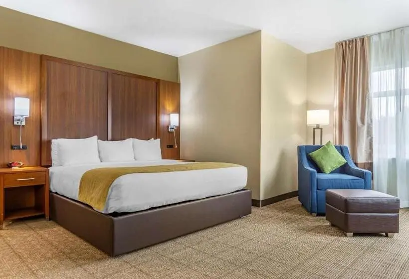 身障者適用キングサイズベッドルーム, Comfort Inn & Suites Lakewood By Jblm