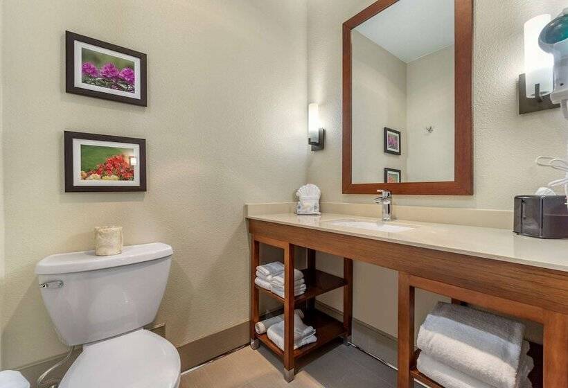 חדר סטנדרט שתי מיטות זוגיות, Comfort Inn & Suites Lakewood By Jblm