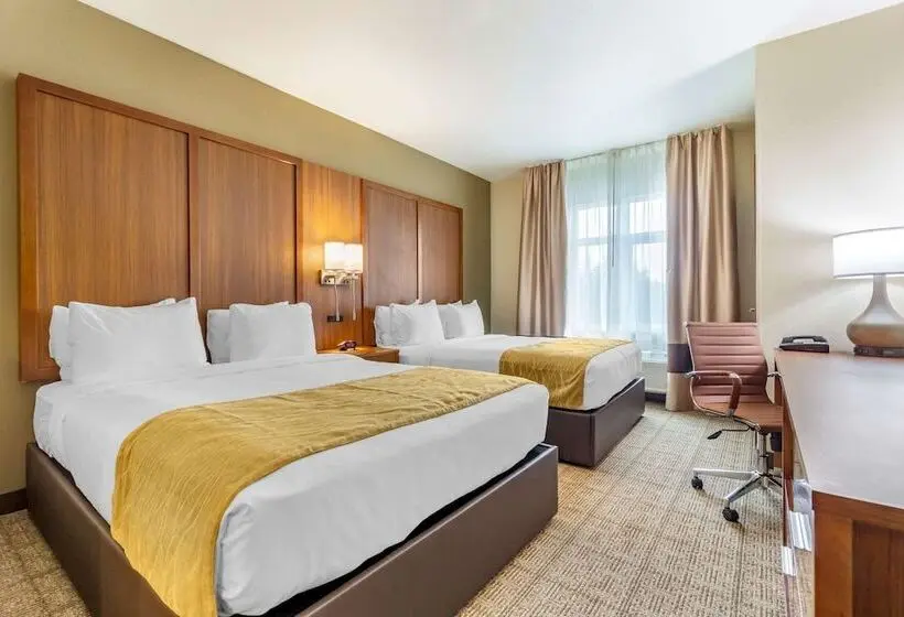 スイート, Comfort Inn & Suites Lakewood By Jblm