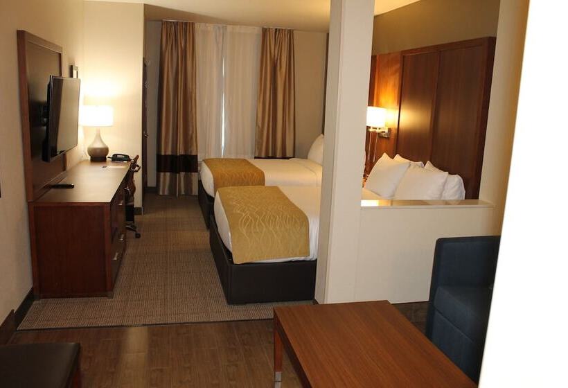 סוויטה, Comfort Inn & Suites Lakewood By Jblm