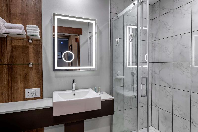 스탠다드 룸 킹사이즈 침대, Quality Hotel & Conference Centre