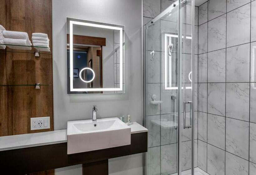 스탠다드 룸, Quality Hotel & Conference Centre