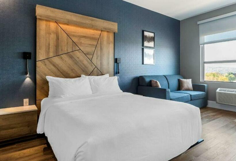 스탠다드 룸, Quality Hotel & Conference Centre