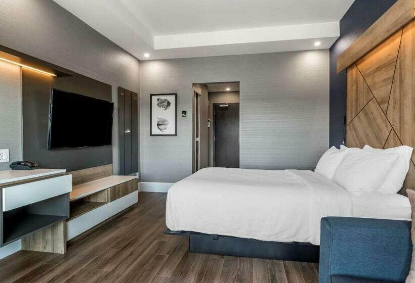 스탠다드 룸, Quality Hotel & Conference Centre