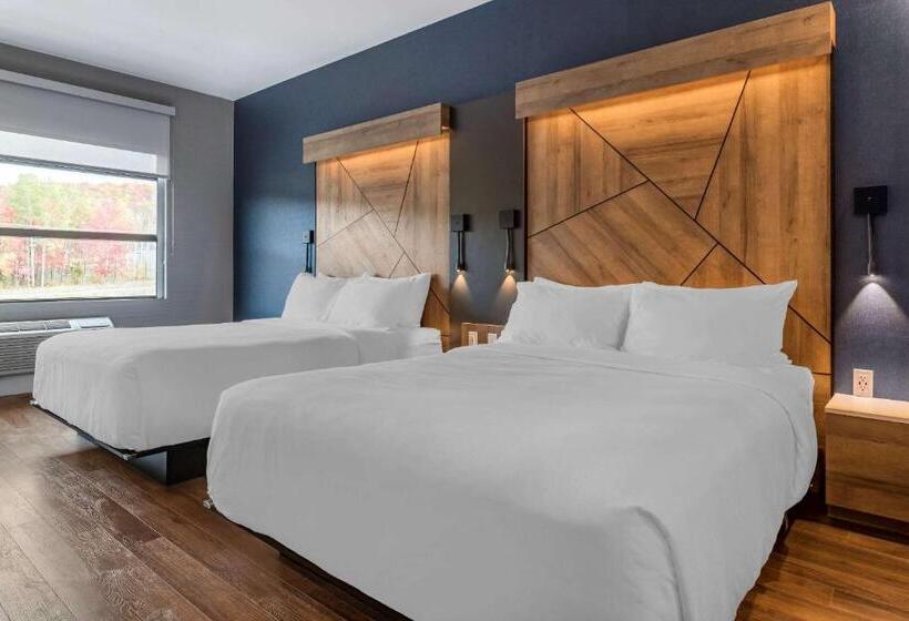 스탠다드 룸 더블 침대 2개, Quality Hotel & Conference Centre