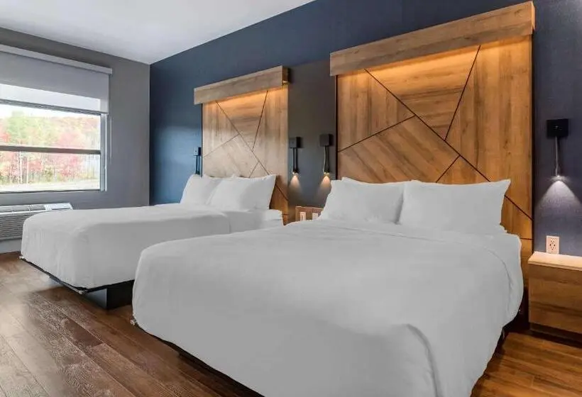 ２ダブルベッドのスタンダードルーム, Quality Hotel & Conference Centre