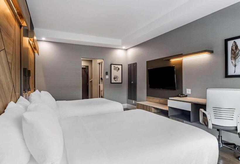 ２ダブルベッドのスタンダードルーム, Quality Hotel & Conference Centre