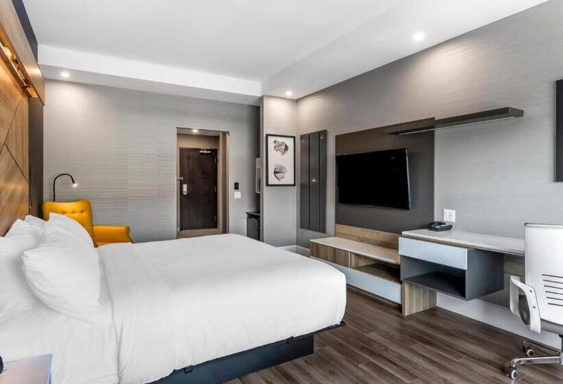キングサイズベッドのスタンダードルーム, Quality Hotel & Conference Centre