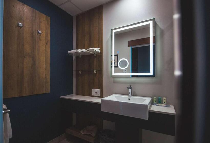 스탠다드 룸 킹사이즈 침대, Quality Hotel & Conference Centre